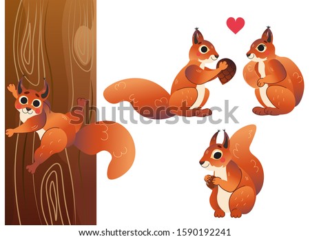 Similar – Image, Stock Photo Squirrel with 2 hazelnuts in mouth