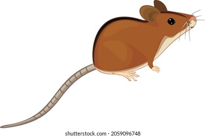 Cute cartoon striped field mouse (Apodemus agrarius) isolated on white background