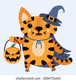 Cute cartoon striped tiger. Cat in a witch hat and cloak. The animal is holding a Halloween pumpkin. The kitten celebrates all saints day. Vector icon isolated on white background. Flat style.