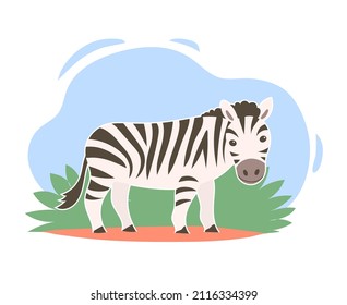 Cute cartoon striped zebra. African herbivore. Vector illustration. Child character. Wildlife background