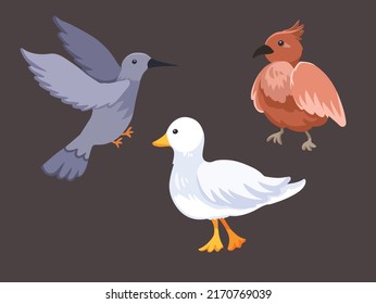 Cute cartoon style bird and duck vector illustration with flat art style drawing. Hummingbird, pigeon, and duck artwork.