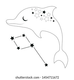 Cute cartoon style hand drawn dolphin with constellation. Outlined vector illustration. Kids design, fation, print, poster, educational book decoration, gift card. 