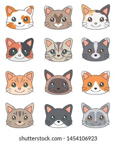Cute cartoon style heads of different domestic cat breeds, a vector drawing
