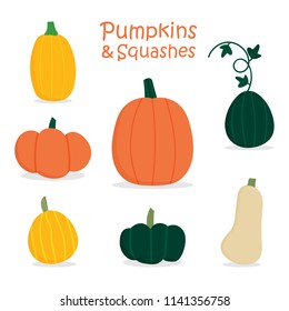 Cute cartoon style vector pumpkin and squashes set, collection. Autumn harvest vegetables.