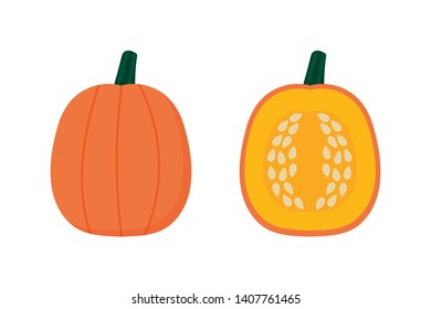 Cute cartoon style vector pumpkin or squash, whole and cut in half for autumn, harvest, cooking design.