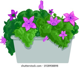 Una tierna olla estilo caricatura con flores florecientes colores verde y púrpura