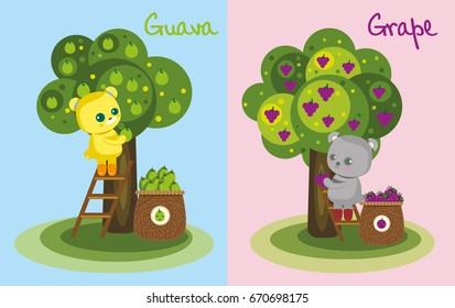 Cute cartoon styles, Cartoon bear character harvest guava tree, grape tree on pink and light blue background