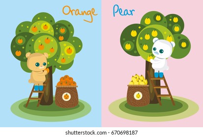 Cute cartoon styles, Cartoon bear character harvest orange tree, pear tree on pink and light blue background