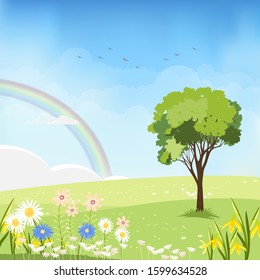 Cute cartoon summer landscape with copy space, Vector spring fields green field with single tree with rainbpw and daisy flowers, Spring or Summer time banner, Card background  