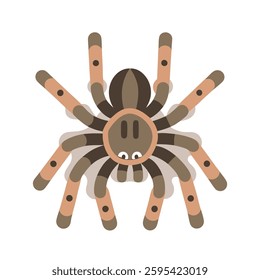 Cute Cartoon Tarantula Vector Illustration Isolated