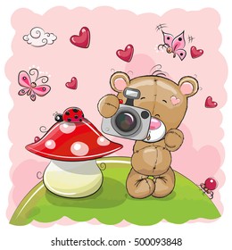 Cute cartoon Teddy Bear with a camera on the meadow