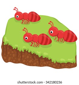 Cute cartoon three ant