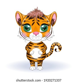 Cute cartoon tiger with beautiful eyes, bright, orange. Illustrations for Chinese New Year 2022, year of the Tiger. Lunar new year 2022.