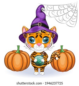 Cute cartoon tiger with beautiful eyes, orange in a purple cloak and a witch's hat, with a potion. Halloween 2022.
