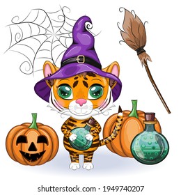 Cute cartoon tiger with beautiful eyes, orange in a purple cloak and a witch's hat, with a potion. Halloween 2022.