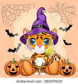 Cute cartoon tiger with beautiful eyes, orange in a purple hat with a broom and pumpkins. Halloween 2022.