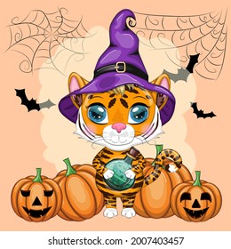 Cute cartoon tiger with beautiful eyes, orange in a purple witch's hat, with a broom and pumpkins. Halloween 2022.