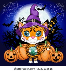 Cute cartoon tiger with beautiful eyes, orange in a purple witch's hat, with a broom and pumpkins. Halloween 2022.