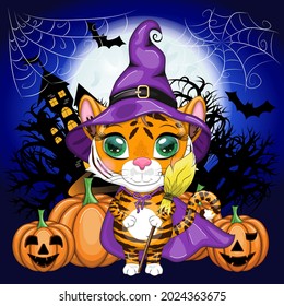 Cute cartoon tiger with beautiful eyes, orange in a purple cloak and witch's broom, with a broom and pumpkins. Halloween 2022.