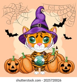 Cute cartoon tiger with beautiful eyes, orange in a purple witch's hat, with a broom and pumpkins. Halloween 2022.