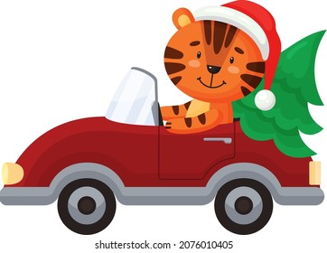 
Cute cartoon tiger in Santa hat rides in a red car with an open top and Christmas tree. New Year vector illustration isolated on white.