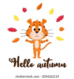 Cute cartoon tiger tosses autumn colorful leaves. A postcard with an adorable character and the words Hello autumn. Color vector illustration isolated on a white background.