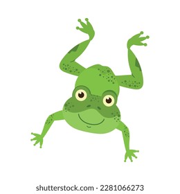 Cute cartoon toad icon isolated