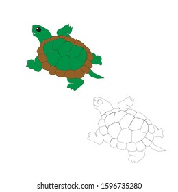 cute cartoon 
tortoise animals coloring book for kids. black and white vector illustration for coloring book. 
tortoise animals concept hand drawn illustration