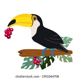 Cute cartoon toucan bird on branch. Vector illustration for invitations, card, poster. Summer exotic  print. Tropical toucan icon with floral palm leaves. 