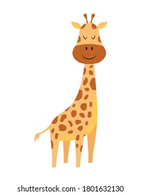 cute cartoon trendy design little giraffe isolated on white background, african animal wildlife, vector illustration