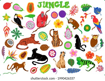 cute cartoon tropical rainforest jungle animals, fruits, flowers, leaves graphic set, isolated vector illustration 