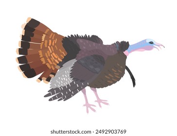 Nette Cartoon Türkei Vogel Vektorillustration. Nutzgeflügel, wild lebendes Tier, isolierter Clipart.