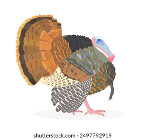 Netter Cartoon Turkey Bird, Vektorgrafik. Landwirtschaftliches Geflügel, isolierter Clipart von Wildtieren.