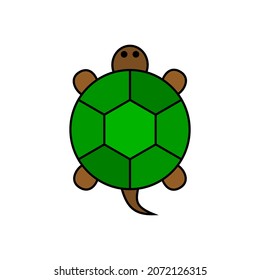 CUTE CARTOON TURTLE CHARACTER DESIGN