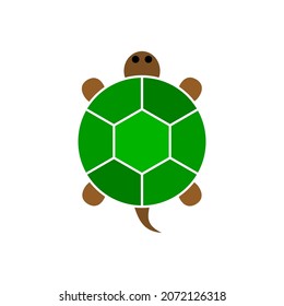 CUTE CARTOON TURTLE CHARACTER DESIGN