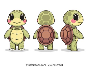 Cute Cartoon Turtle Character Set - Front, Back, and Side View for Animation and Mascot. Vector illustraton