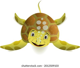 cute cartoon turtle facing front isolated white background