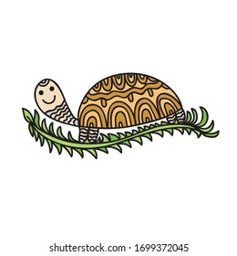 Cute cartoon turtle. Vector illustration