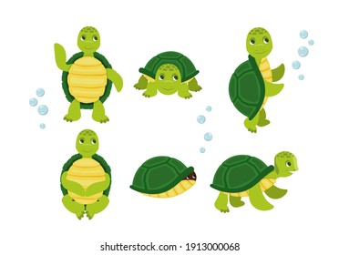 Cute cartoon turtles in different actions. Little turtles, walking and swimming turtle animals. Cartoon characters baby turtles, cute wildlife animals in shell.