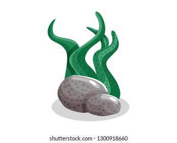 cute cartoon underwater plants isolated on a white background