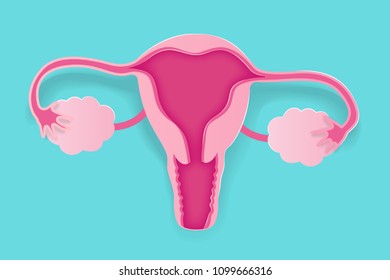 cute cartoon uterus on the blue background