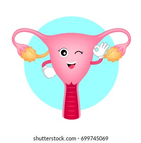 Cute cartoon uterus smiling and showing OK hand sign. Funny characters design,  Illustration isolated on blue and white background.