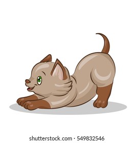 cute cartoon vector colorful cat at the white background
