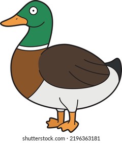 Cute cartoon vector illustration of a brown and green duck