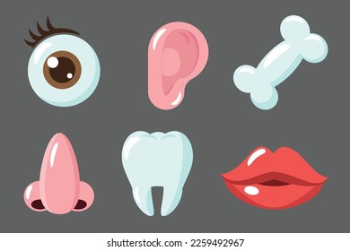 cute cartoon vector, illustration emotion eye, nose, ear, tooth, bone and mouth.