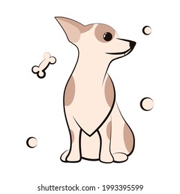 Cute Cartoon Vector Illustration icon of a Chihuahua puppy dog. It is flat design.	
