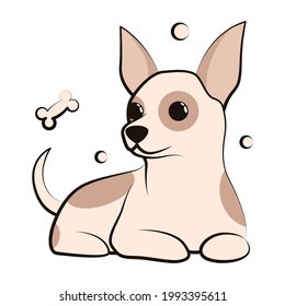 Cute Cartoon Vektorgrafik Symbol eines Chihuahua Welpen Hund. Es ist flaches Design.	
