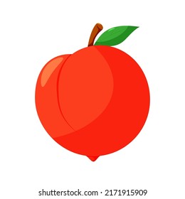 Cute cartoon vector juicy peach. Fresh cartoon peach isolated on white background.