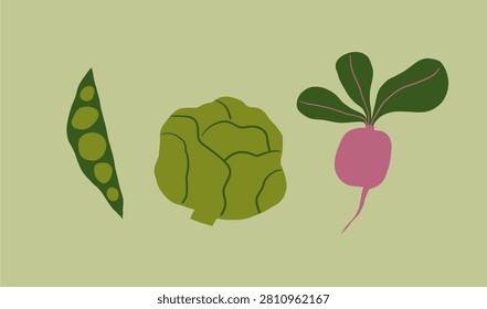 Cute cartoon vegetables. Eco veggies, healthy vitamin food. Organic natural eating, nutrition. Vector illustration in flat style. 
