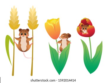 Cute cartoon vole on plants vector set. Voles in flowers, hanging on wheat. Forest animals for kids. Isolated on white background.